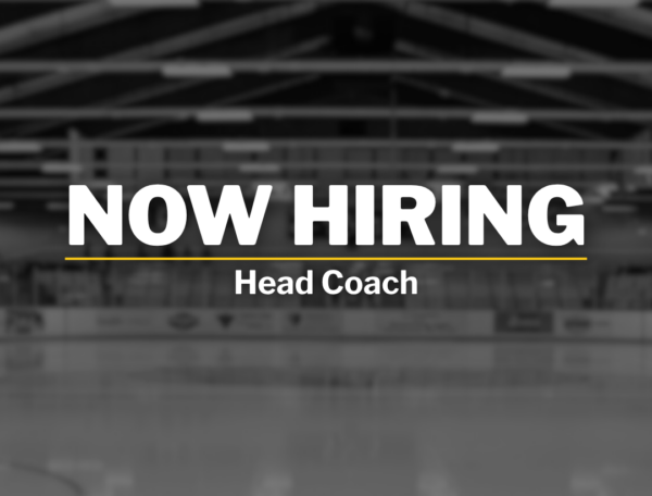 Tigers Accepting Applications For A Head Coach